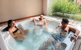 Brit Hotel, Spa & Restaurant - Colmar Est